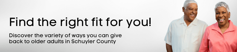 WEBSITE Volunteer Positions banner (6)