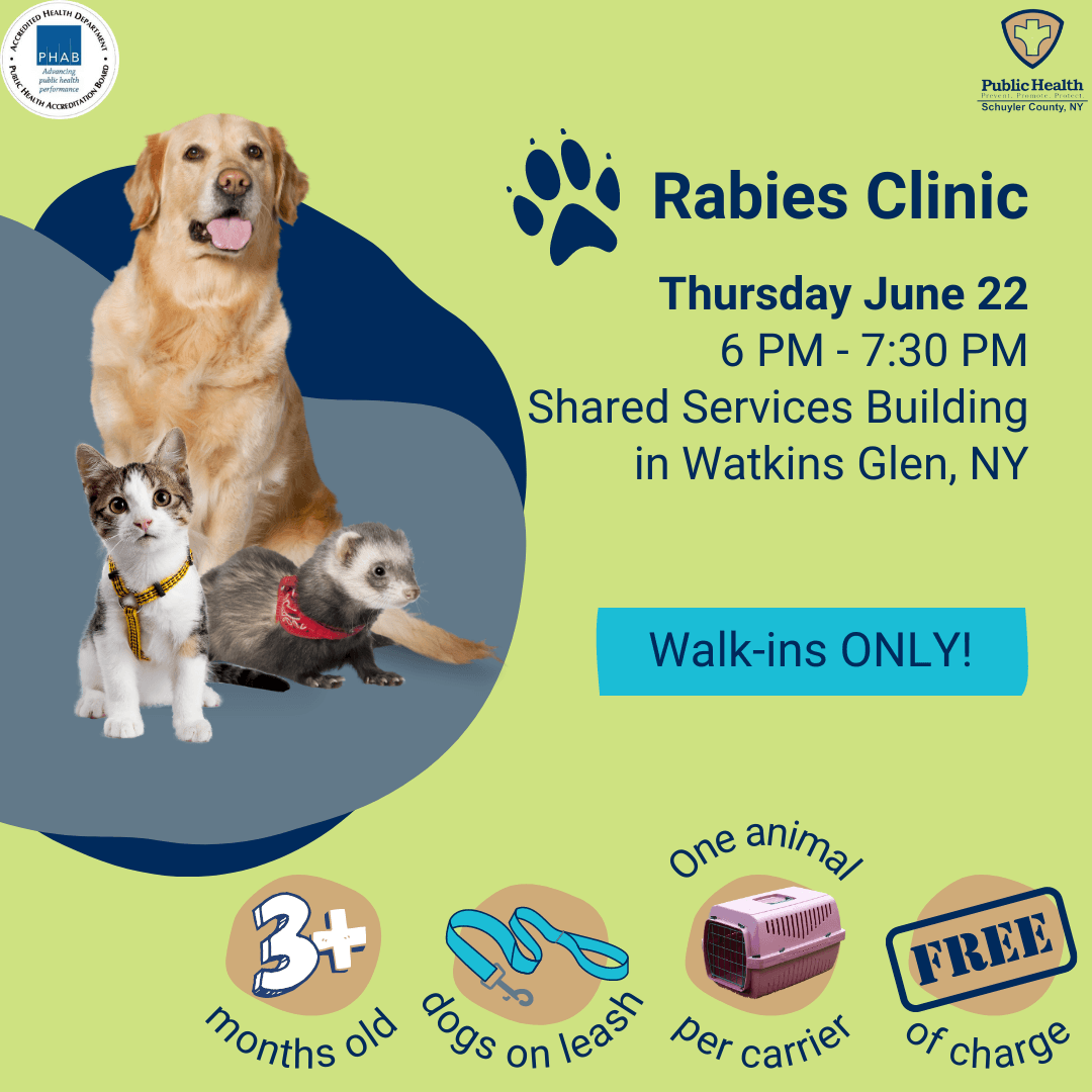 Flyer with information about when and where the rabies clinic is