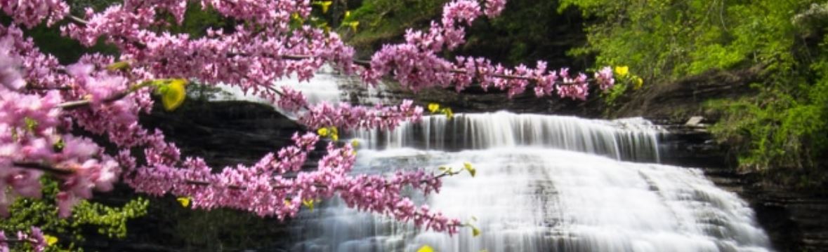 Village of Montour Falls, NY