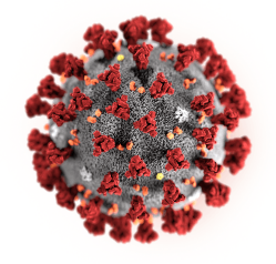 Image of Coronavirus