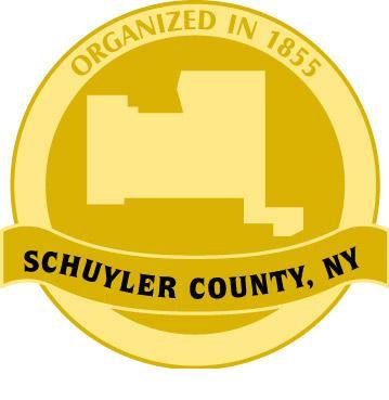 County Pin